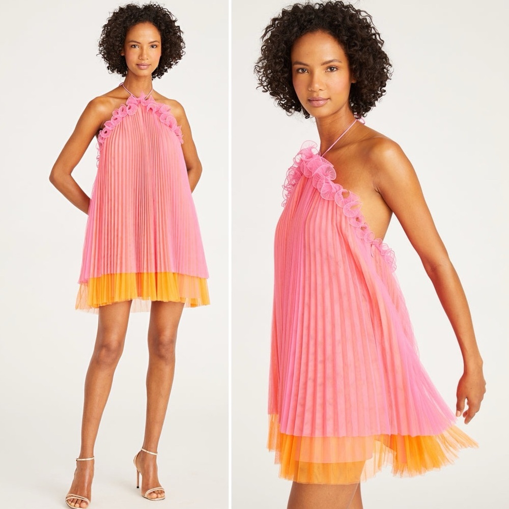 AMUR Pink and Orange Pleated Dress - Picture 16 of 16